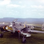 Bf 110 - Franco Callegari 1-48