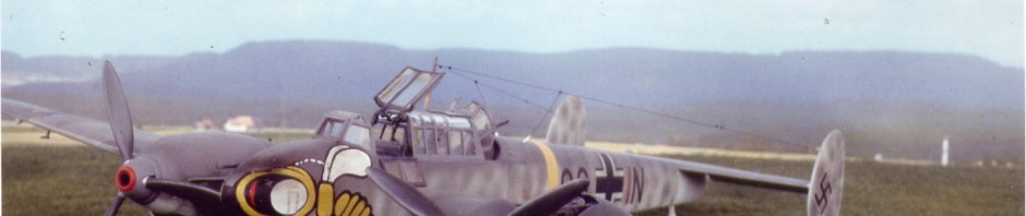 Bf 110 - Franco Callegari 1-48