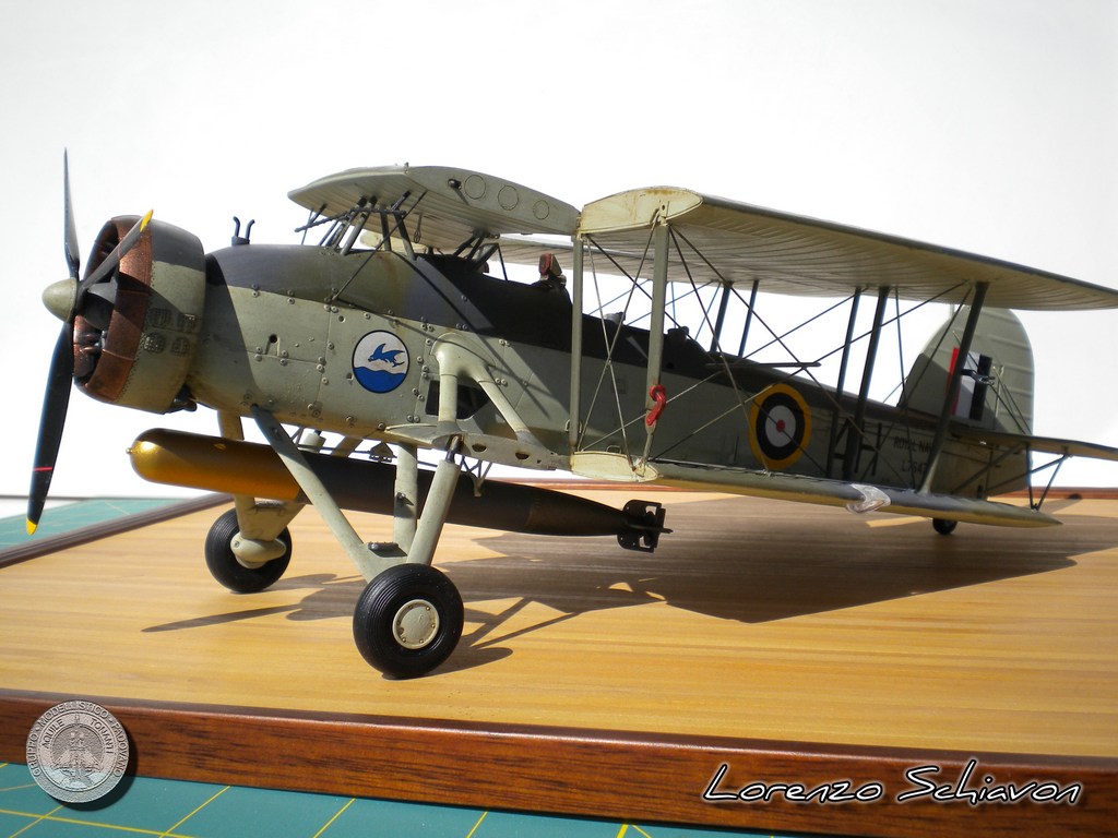 Swordfish Lorenzo Schiavon