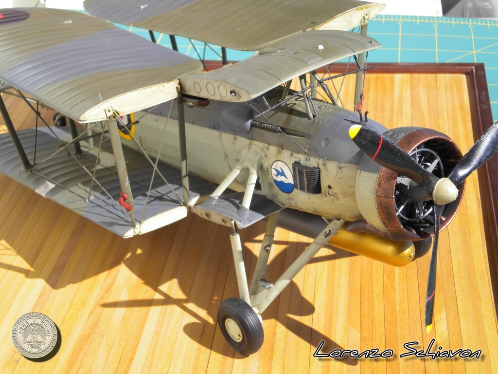 Swordfish Lorenzo Schiavon