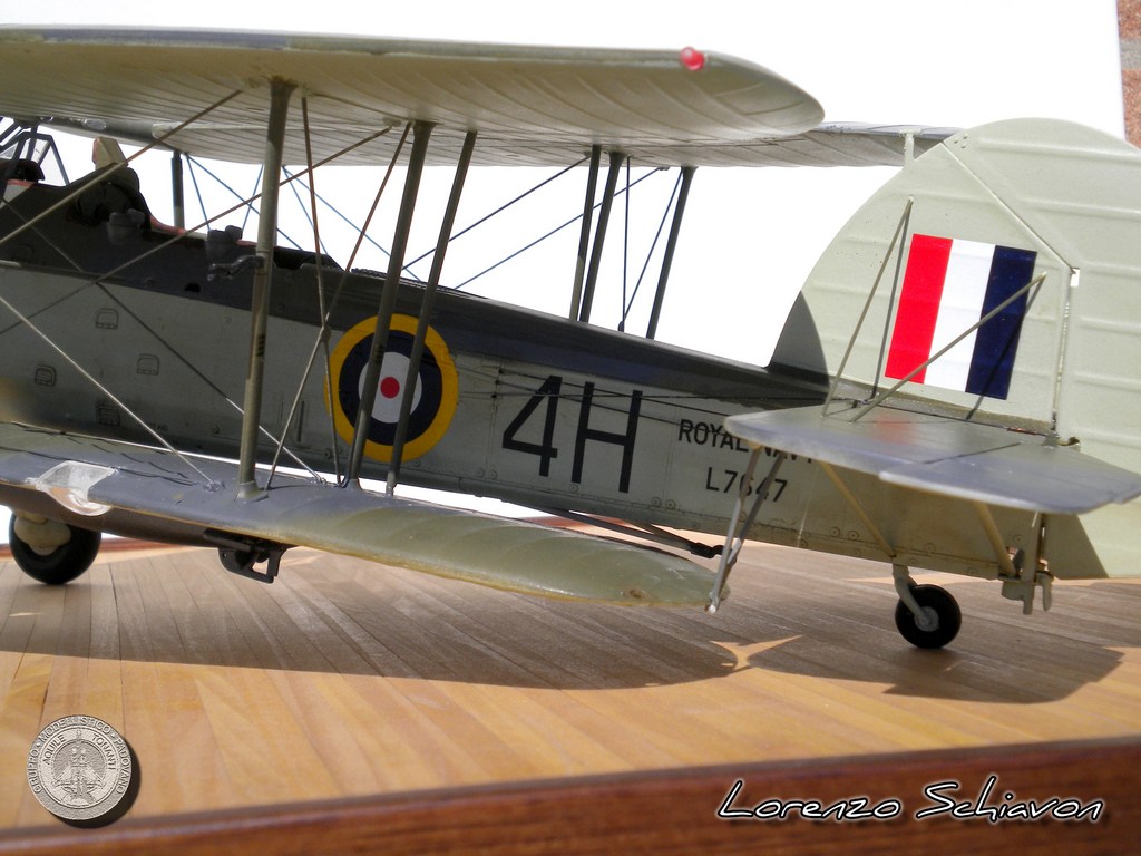 Swordfish Lorenzo Schiavon