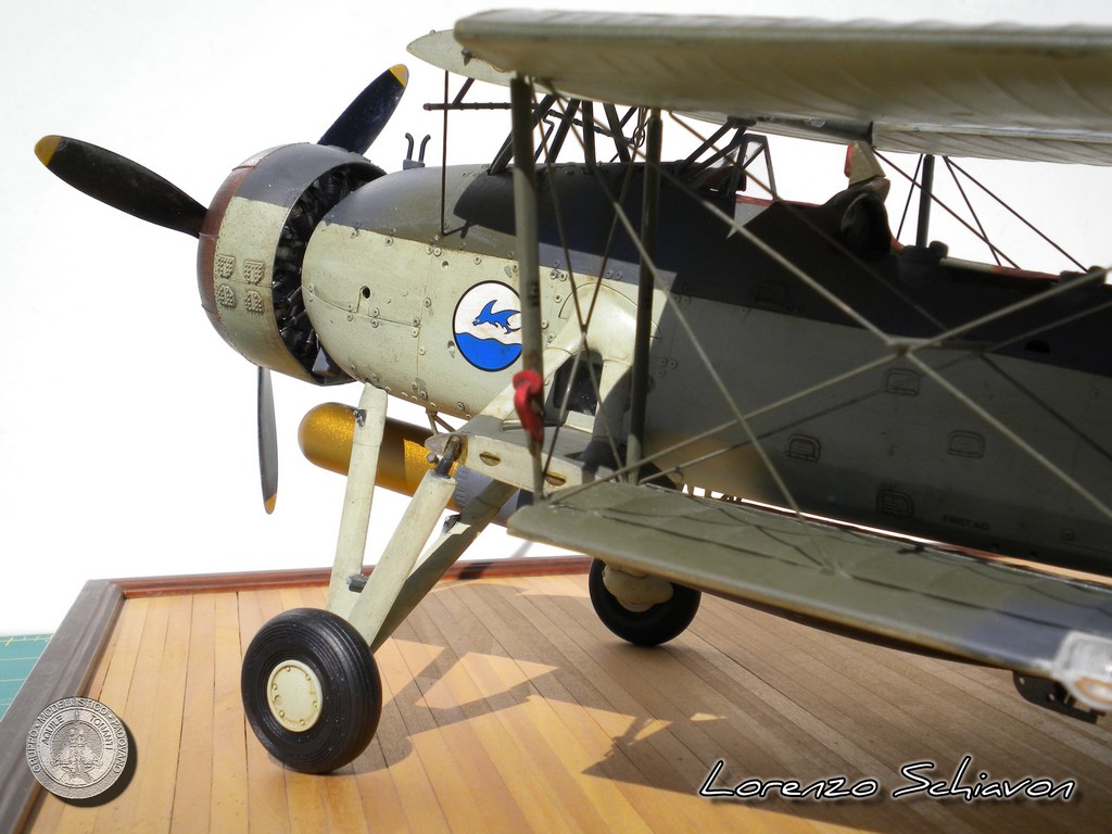 Swordfish Lorenzo Schiavon
