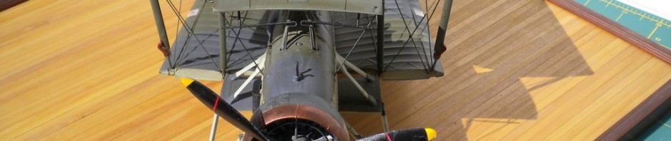 Swordfish Lorenzo Schiavon