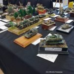 Moson Model Show