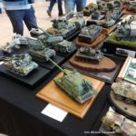 Moson Model Show