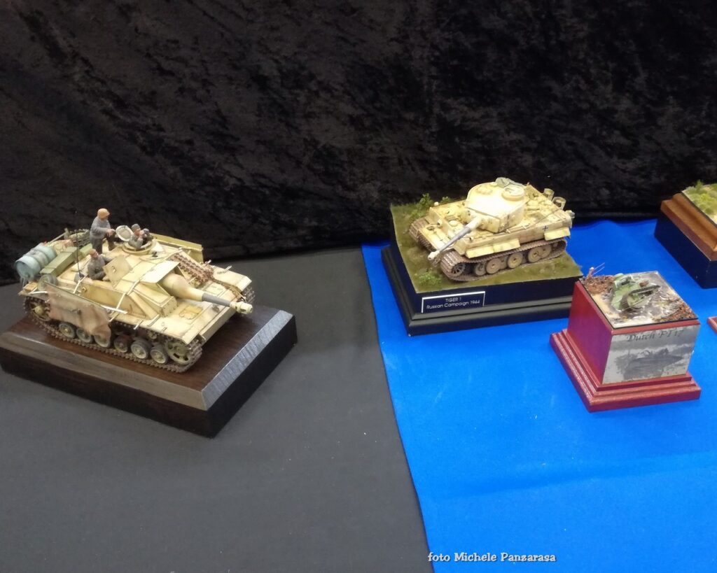 Moson Model Show