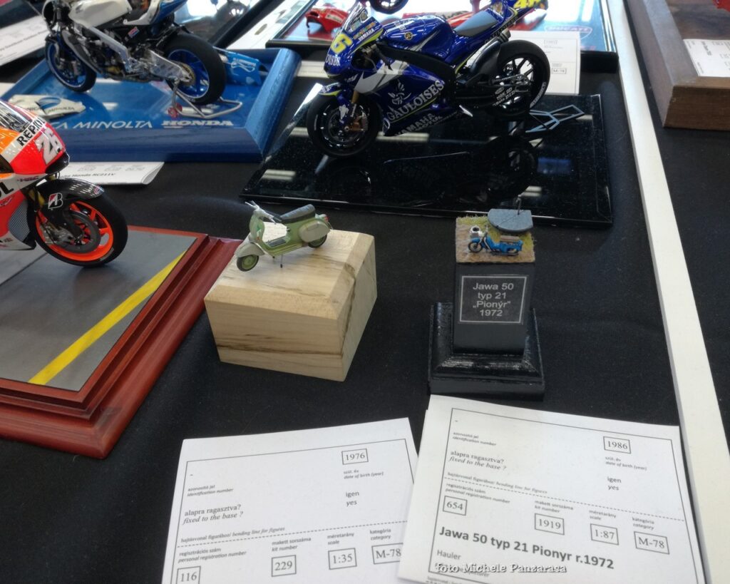 Moson Model Show