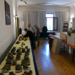 Allestimento Mostra III Armata -27apr19