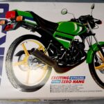 Kawasaki AR 50 - Gianni Besenzon