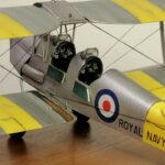 Tiger Moth