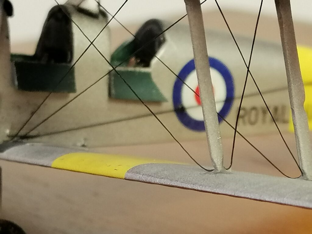 Tiger Moth