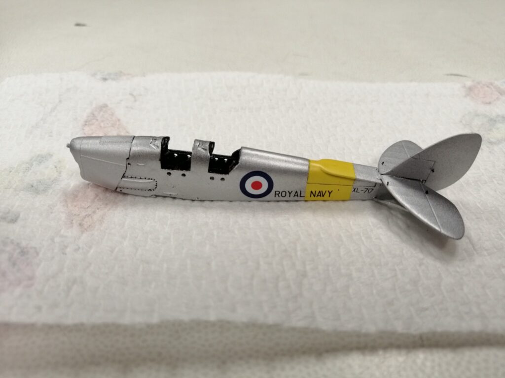 Tiger Moth
