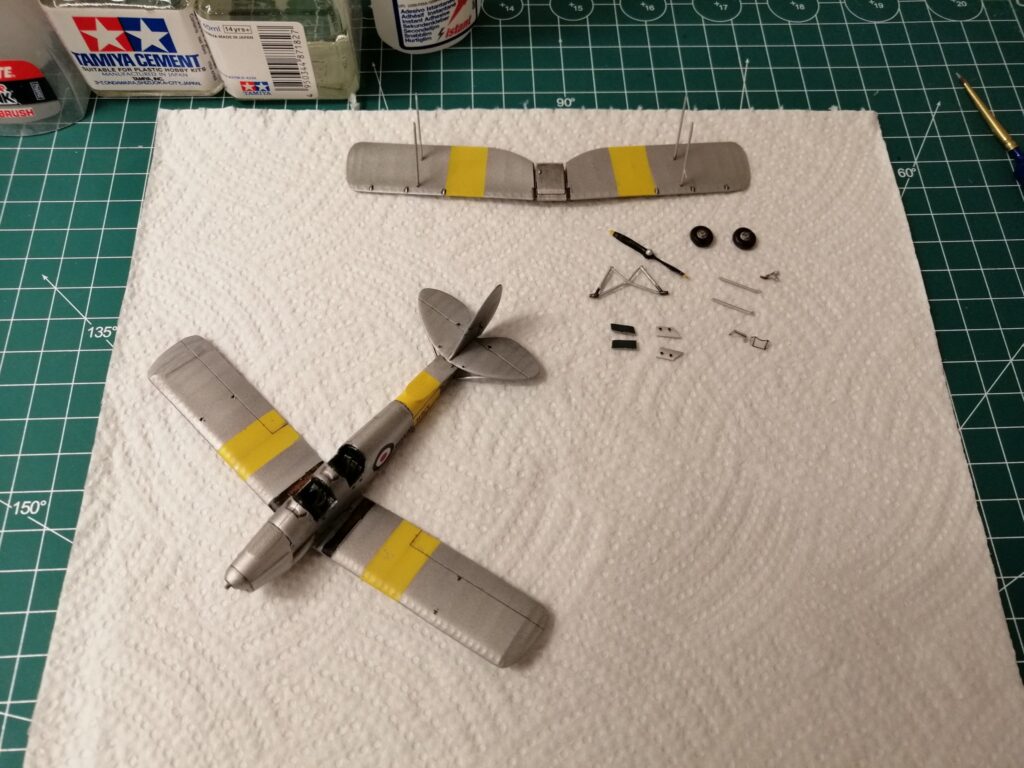 Tiger Moth