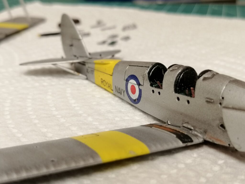 Tiger Moth