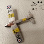 Tiger Moth