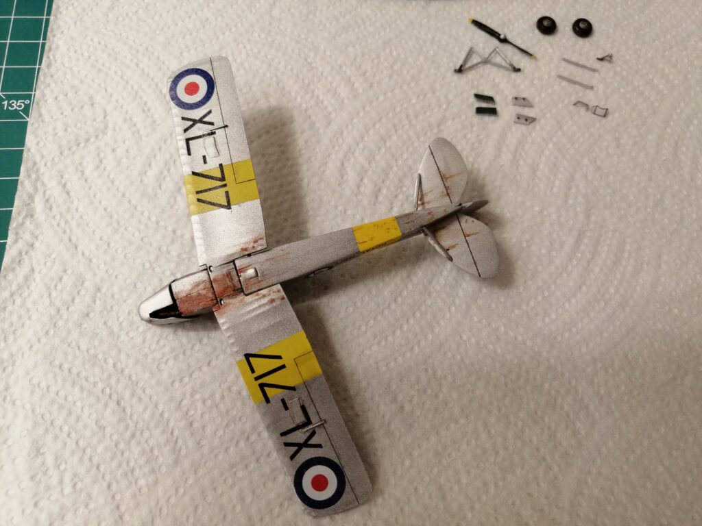 Tiger Moth