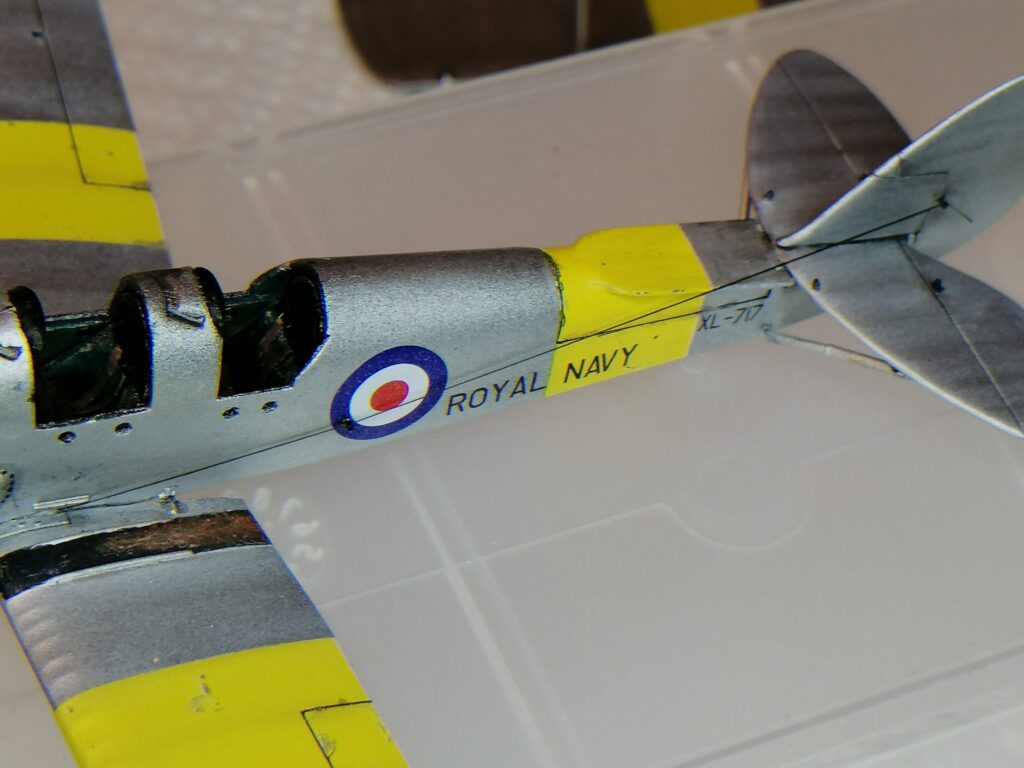 Tiger Moth