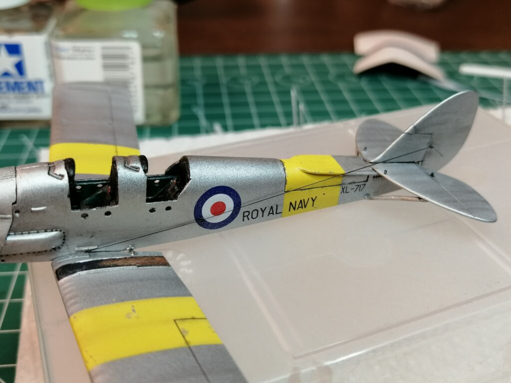 Tiger Moth