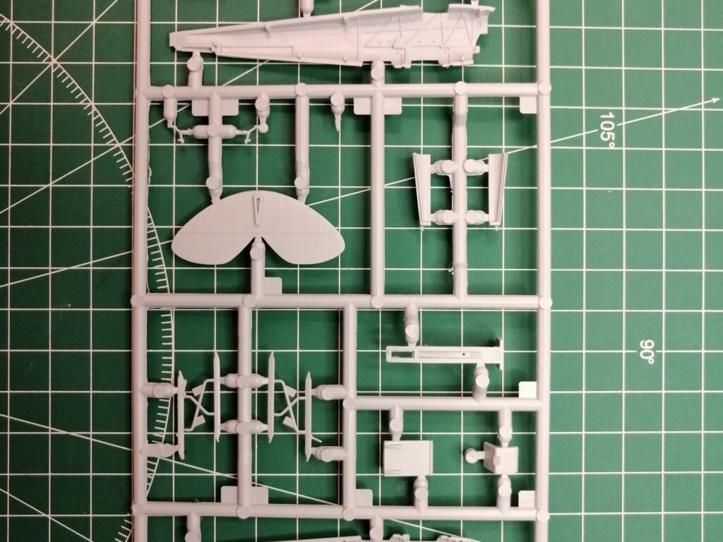 Tiger Moth
