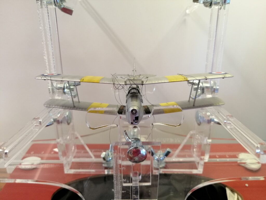 Tiger Moth