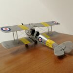 Tiger Moth