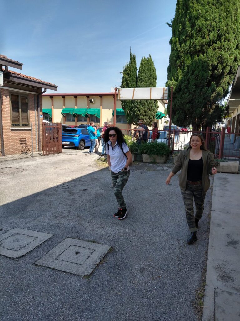 Amici