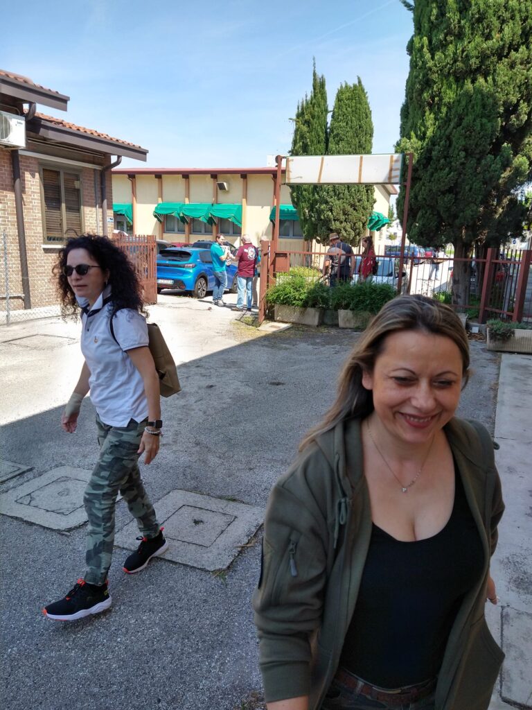 Amici