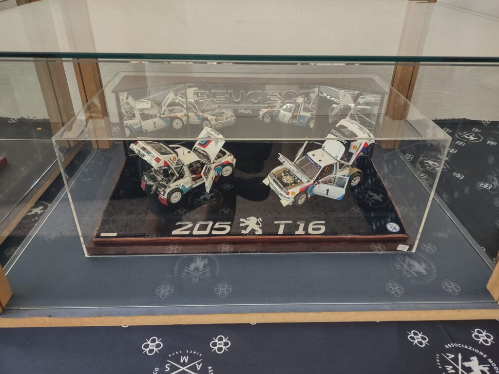 A.M.S. Torri del Benaco 2023